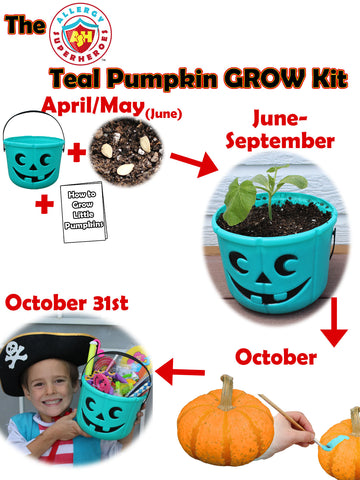 Teal Pumpkin seeds GROW Bucket by food Allergy Superheroes.