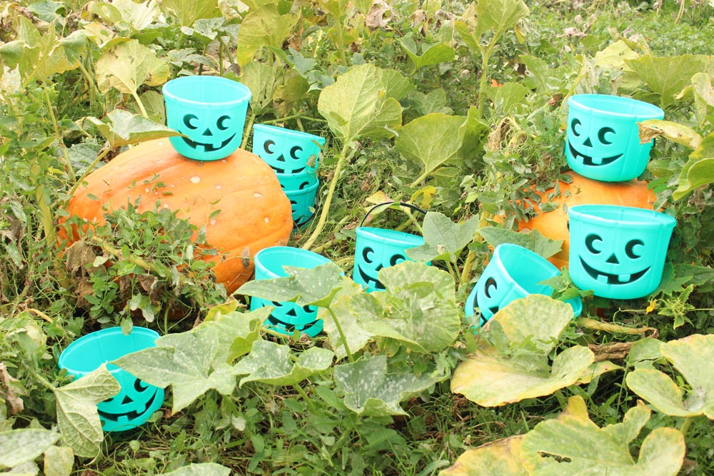 Teal Pumpkin Candy Bucket Bulk Packs by food Allergy Superheroes.